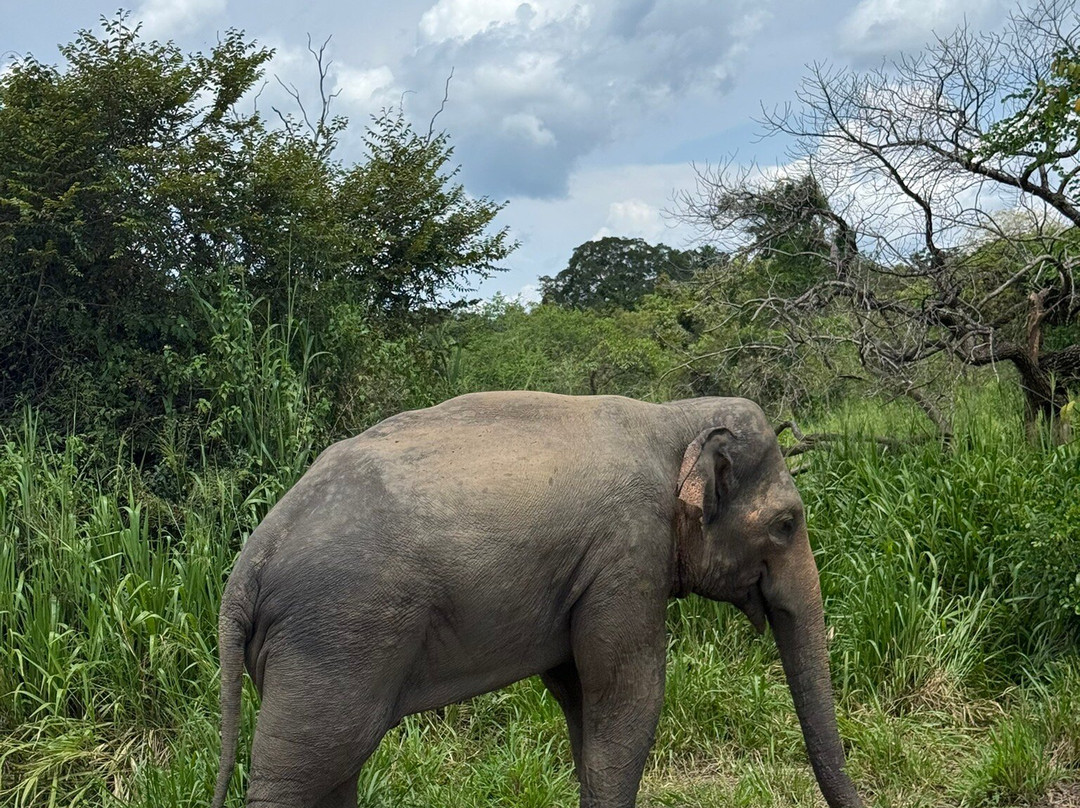 GT Cabs & Tours-卡尔库达必去景点