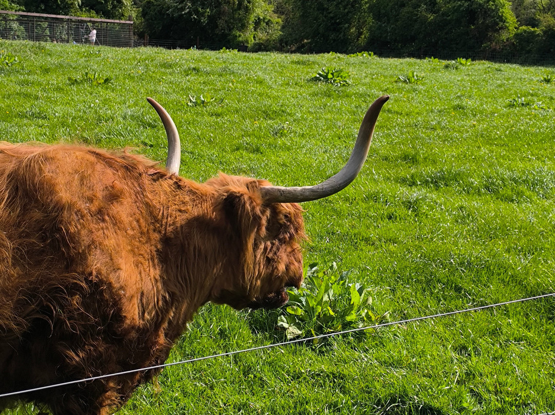 Castleview Open Farm-Cullahill必去景点