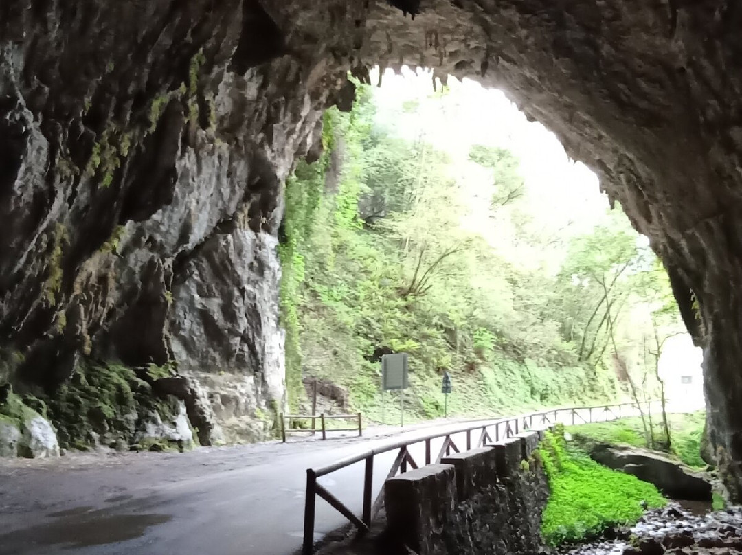 La Cuevona de Cuevas del Agua-里瓦德塞利亚必去景点
