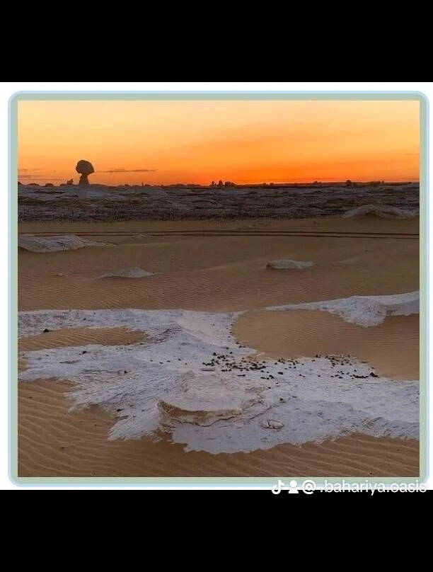 Bahariya Oasis Salt Lake-Bahariya Oasis必去景点