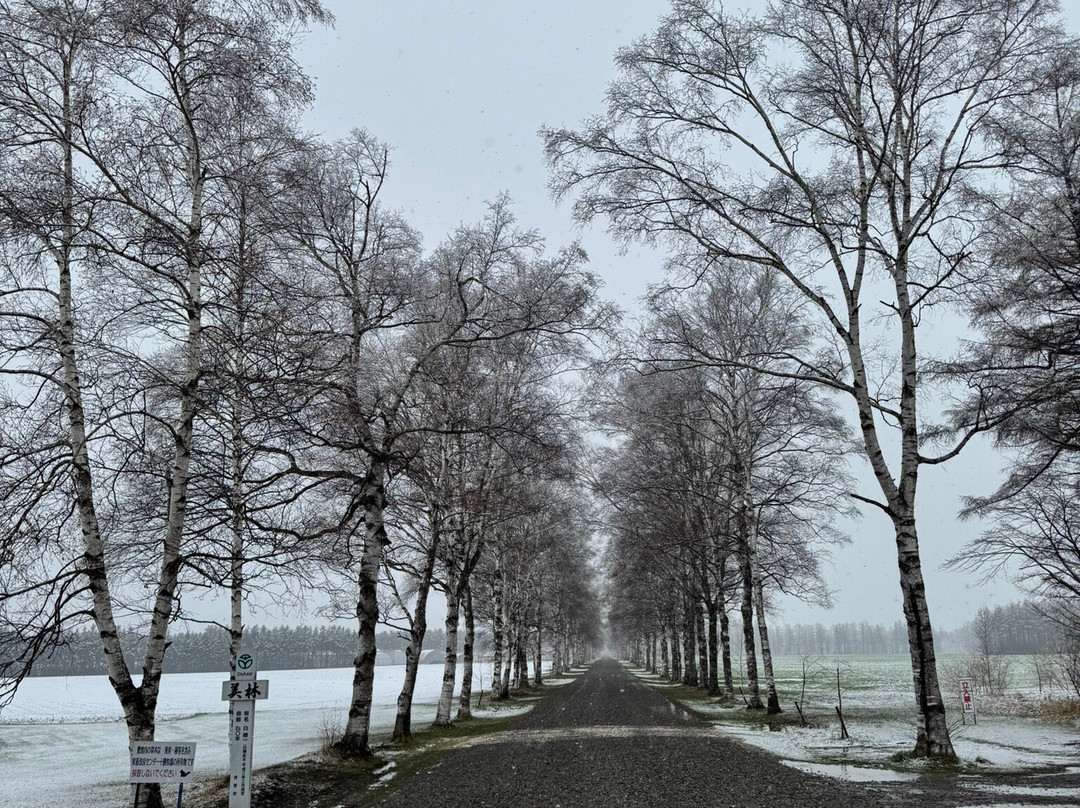 Tokachi Ranch-音更町必去景点