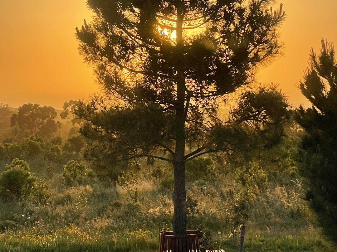 Praia do Canal Nature Retreat主图