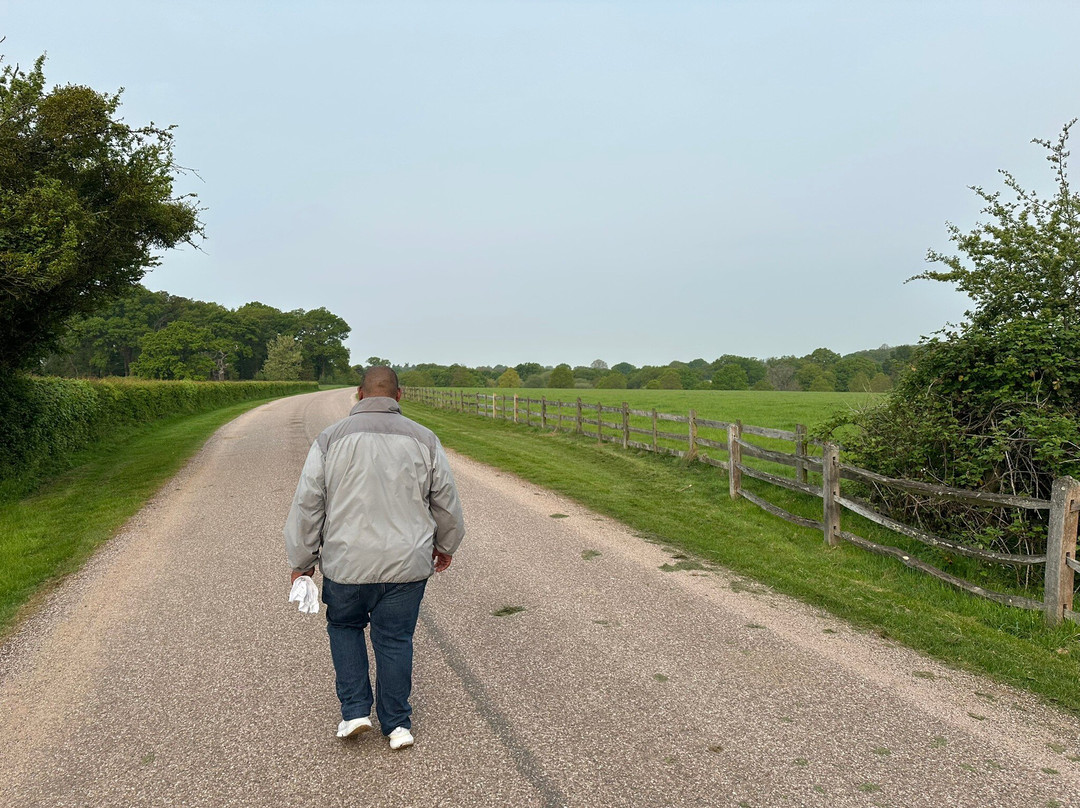 The Long Walk