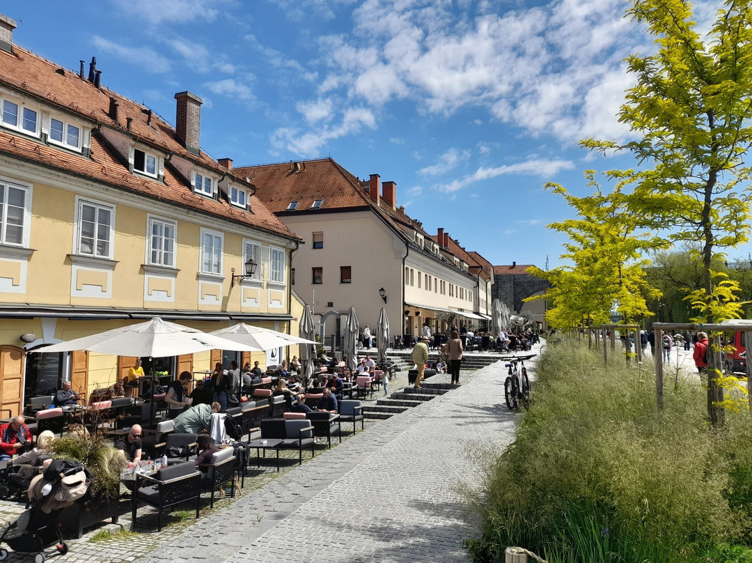 Lent - the Oldest Part of the City of Maribor-马里博尔必去景点
