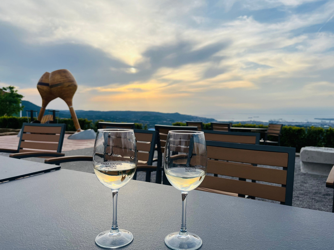 Wine Fountain Marezige-Marezige必去景点