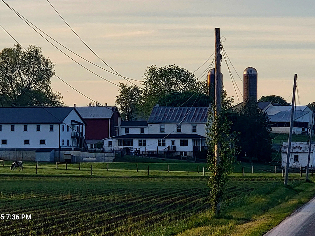 Amish Meals With The Blank Family-Narvon必去景点
