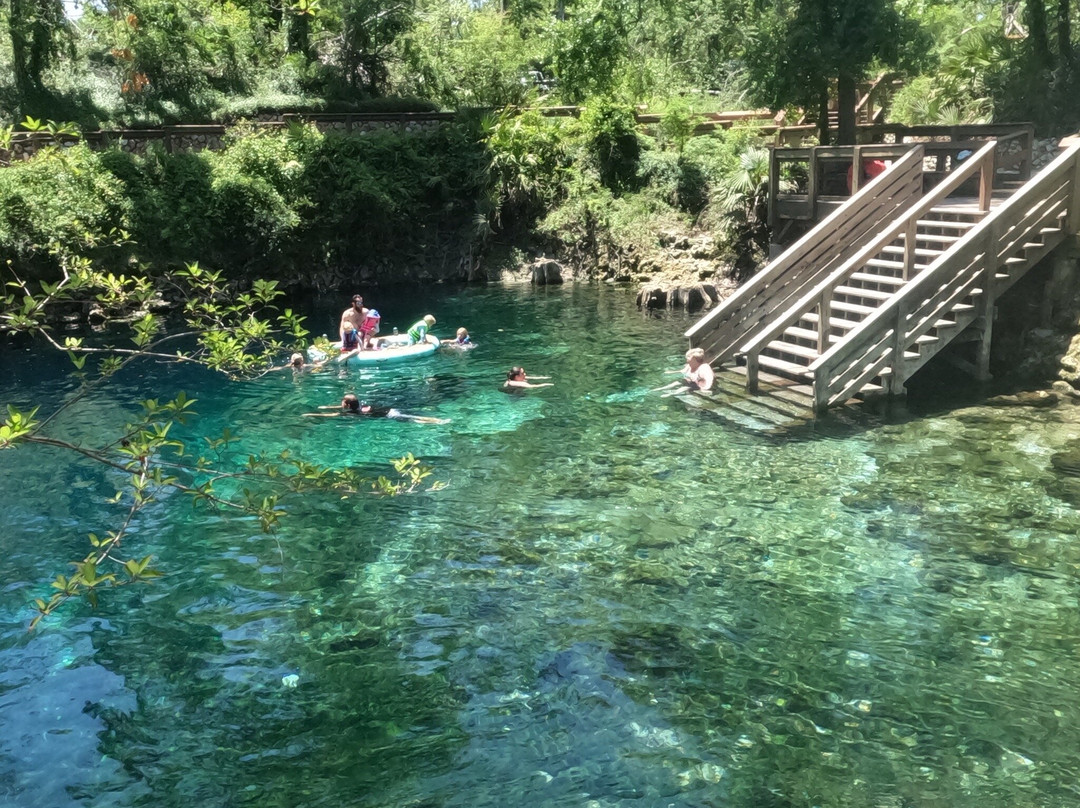 Madison Blue Springs State Park-Lee必去景点
