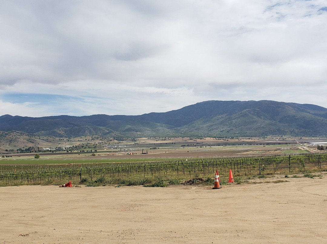 Tehachapi Winery-特哈查比必去景点