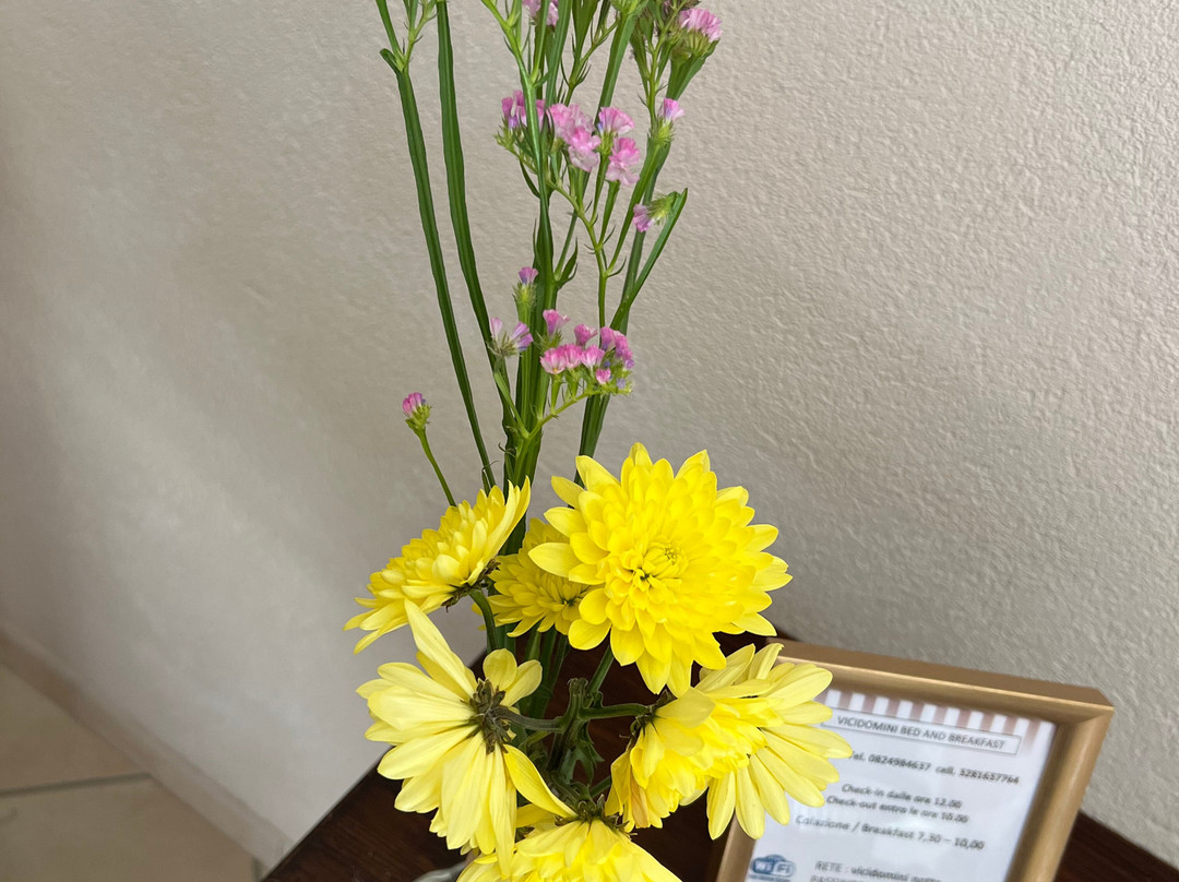 B&B Vicidomini主图