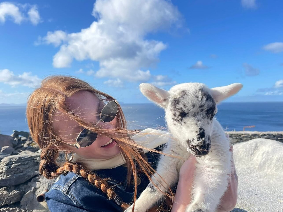 Hold A Baby Lamb-Glanfahan必去景点