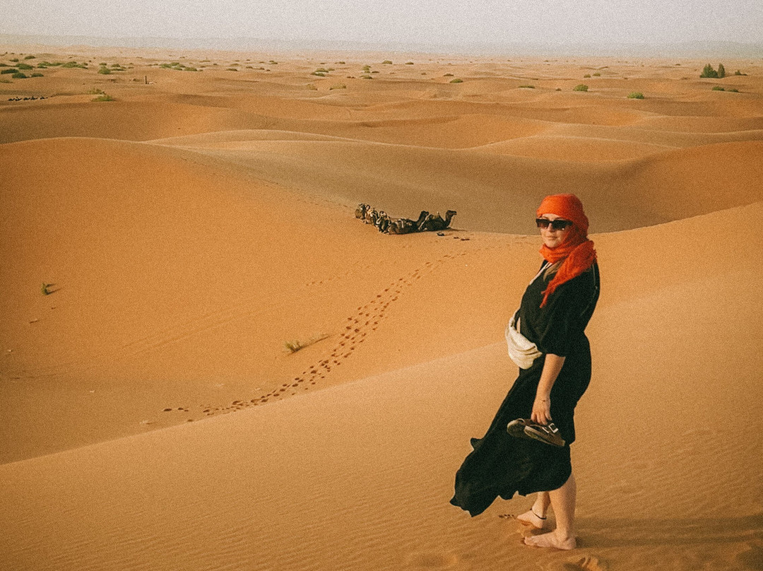 Sahara Feeling-扎古拉必去景点