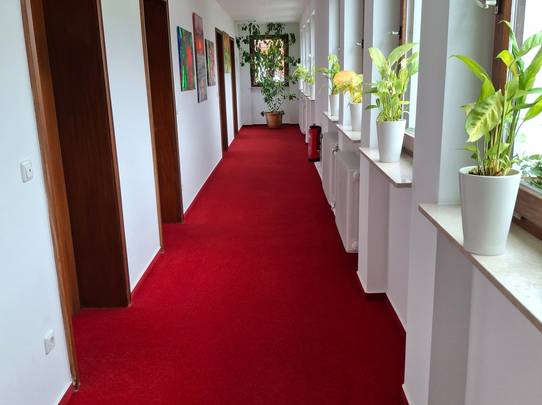 Sathya Ayurveda - Hotel Villa am Park主图