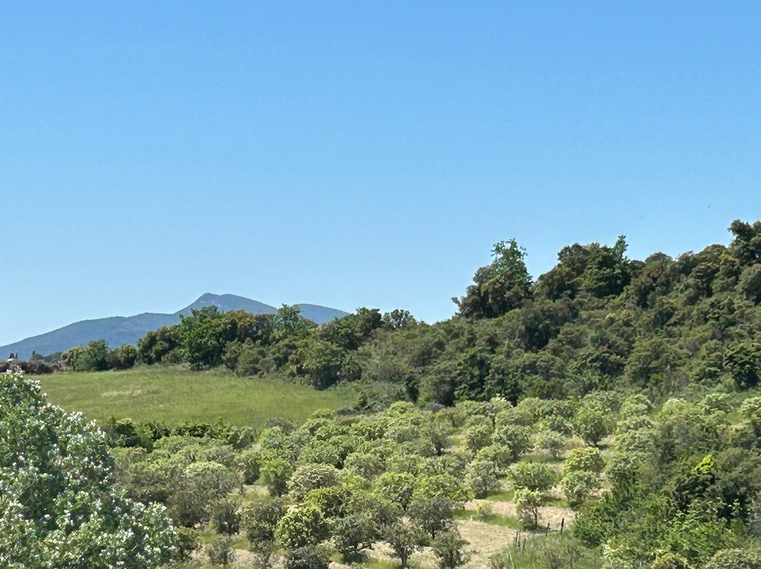 Domaine de Chadeyron主图