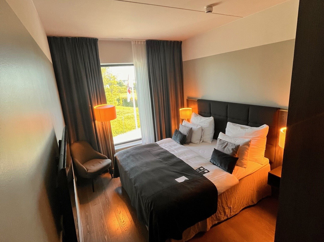 Clarion Hotel Air主图