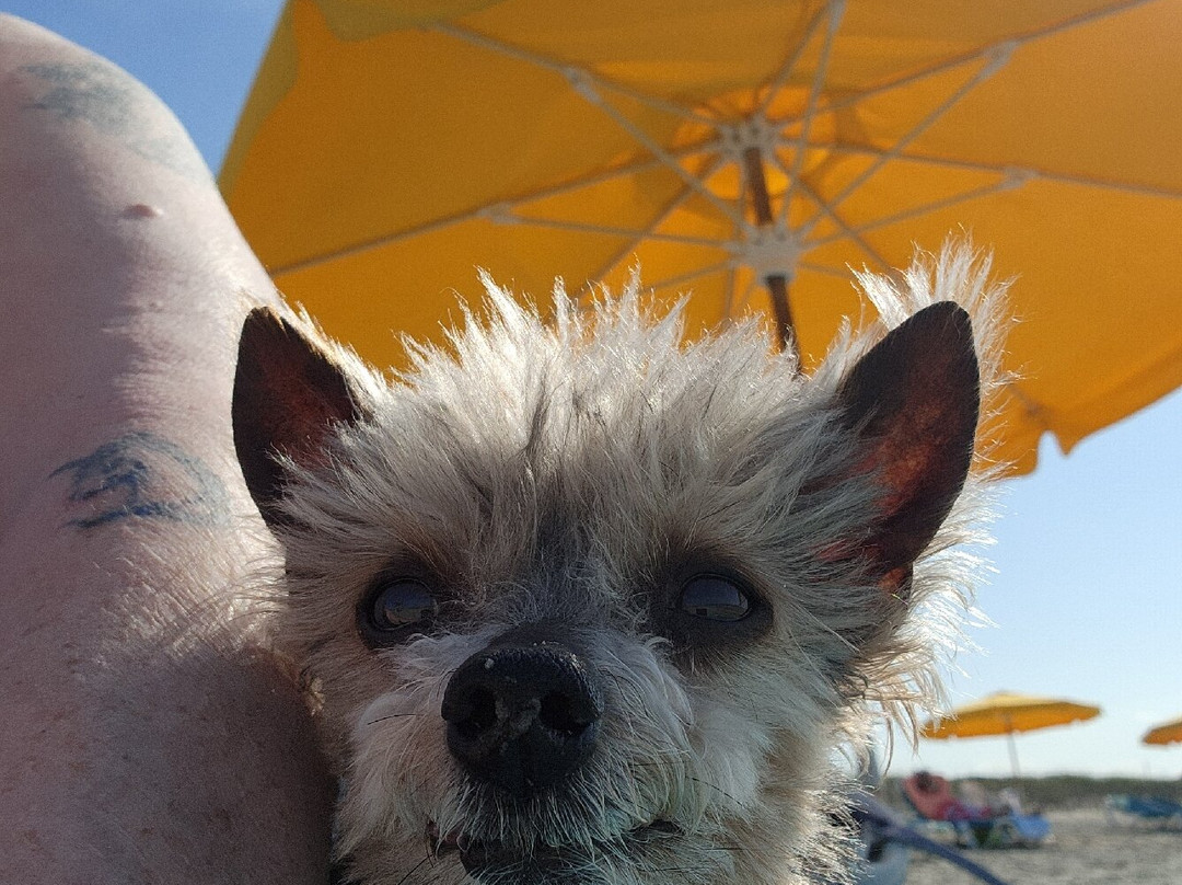 Atlantis Lodge主图