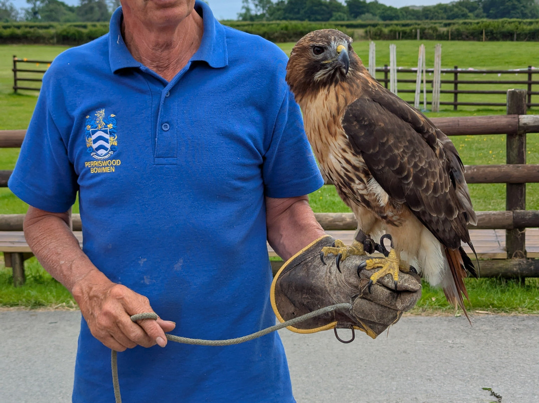 Perriswood Archery & Falconry Centre景点图片
