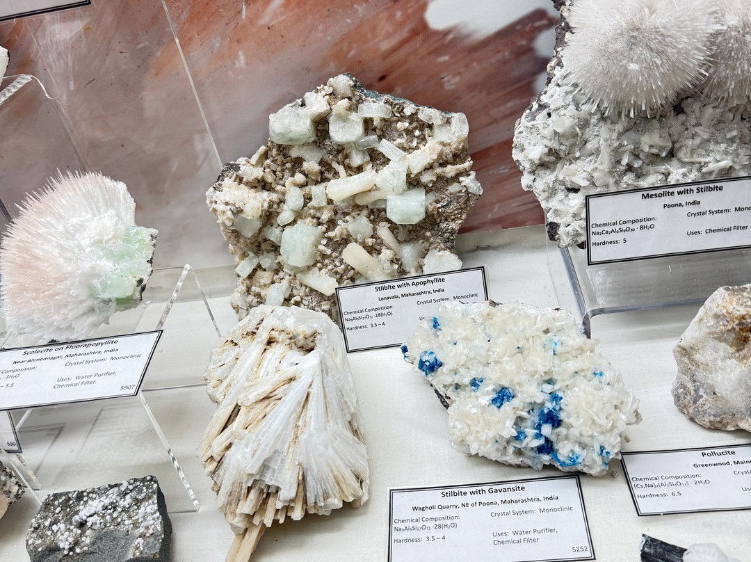 Museum of Geology-拉皮德城必去景点