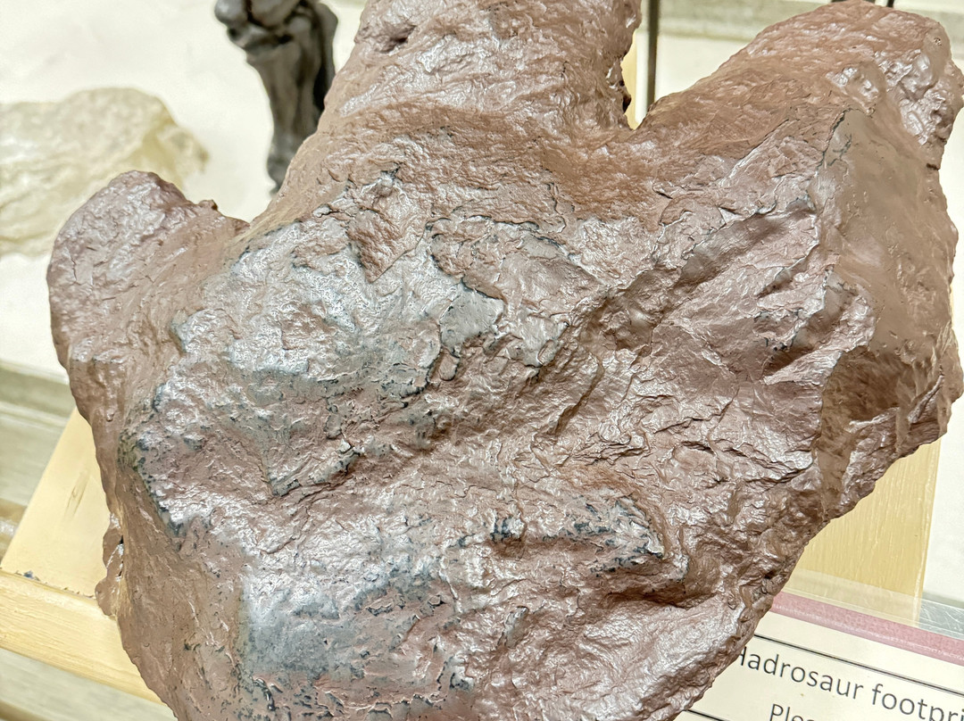 Museum of Geology-拉皮德城必去景点