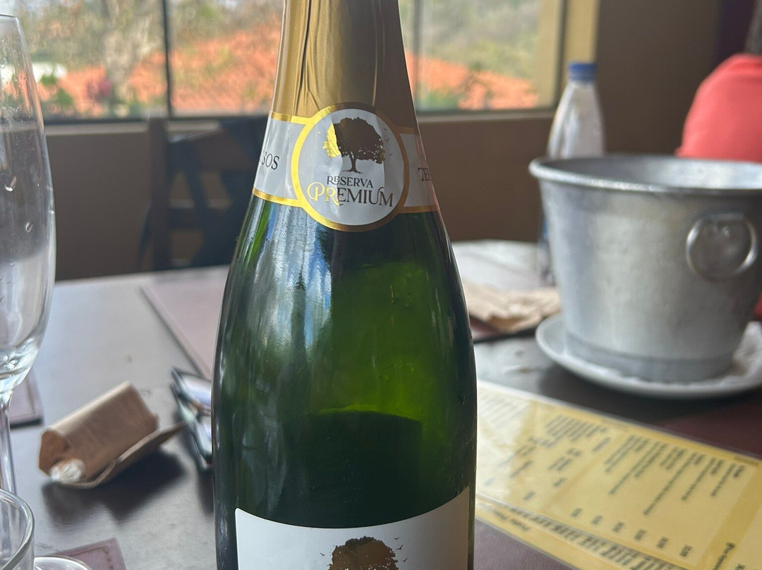 Vinícola Terrassos-Amparo必去景点