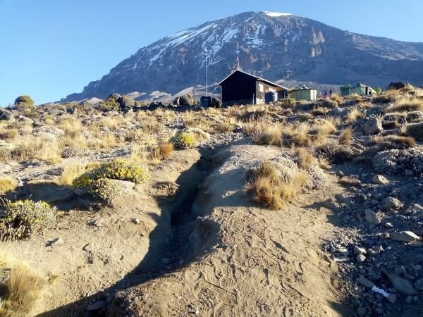 Smart Wildlife Safaris Ltd-乞力马扎罗区必去景点