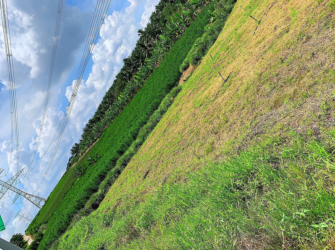 Selangor Fruits Valley-万挠必去景点