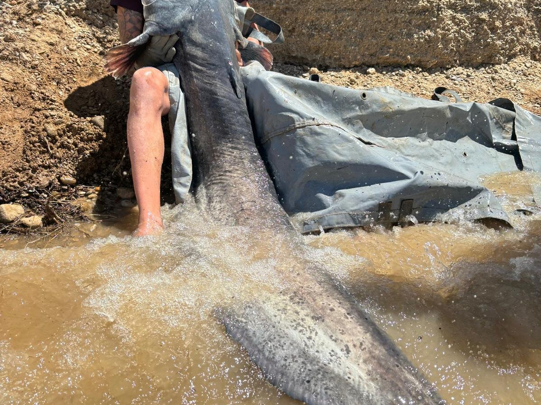 River Ebro Catfishing Holidays景点图片