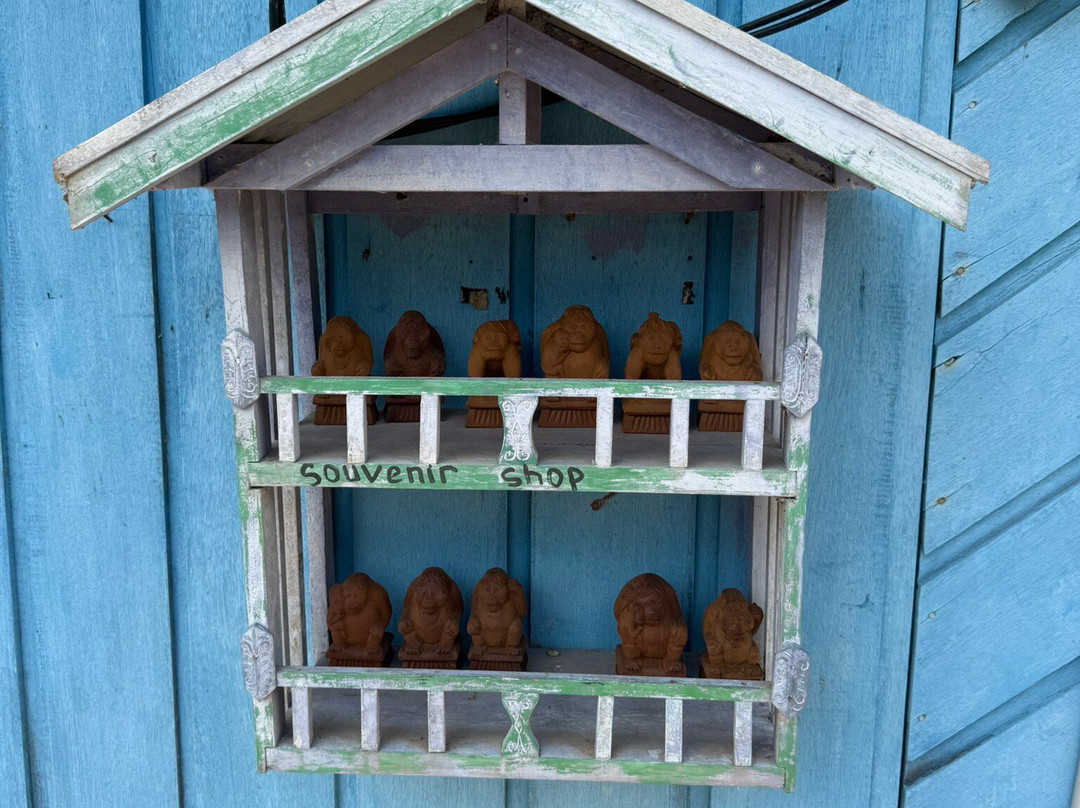 Orangutan Trekking Tours-Pangkalan Bun必去景点