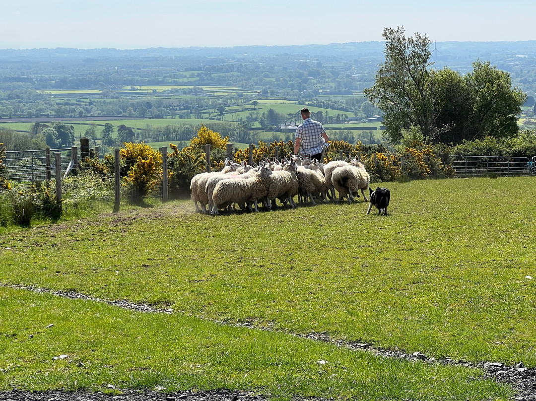 Glenshane Country Farm景点图片