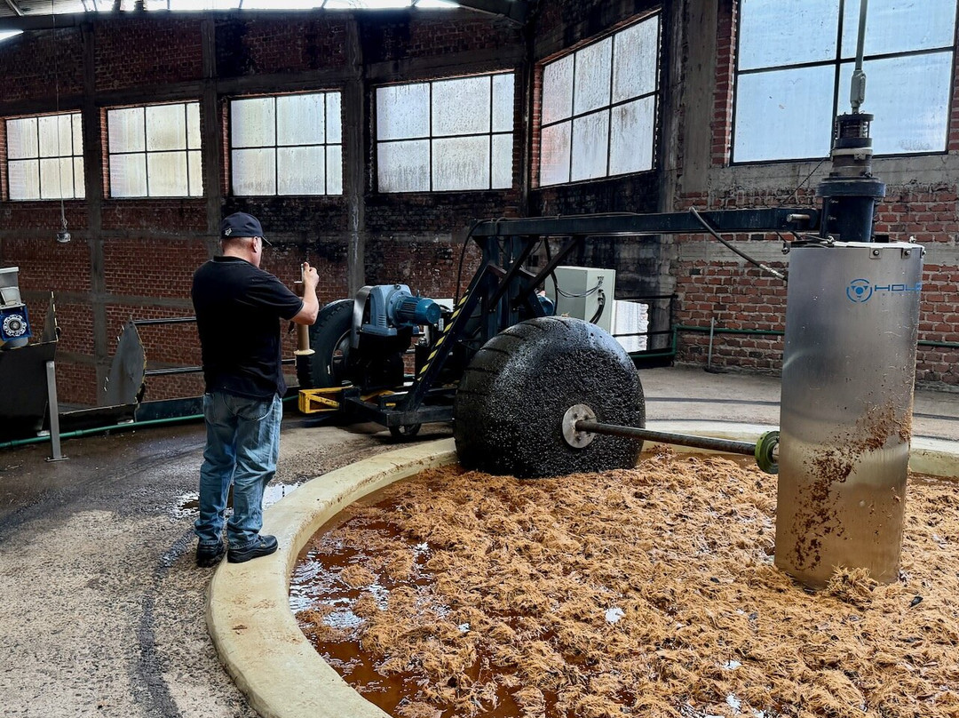 Experience Agave-特基拉必去景点