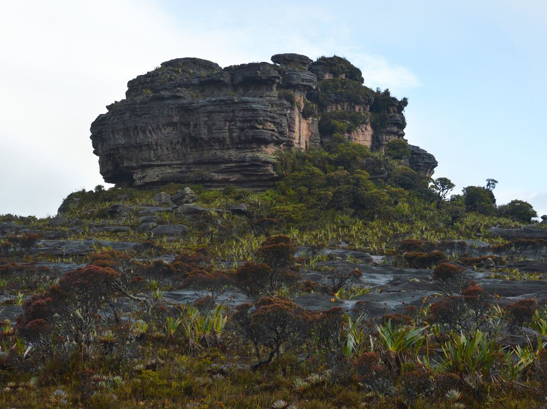 Monte Roraima景点图片