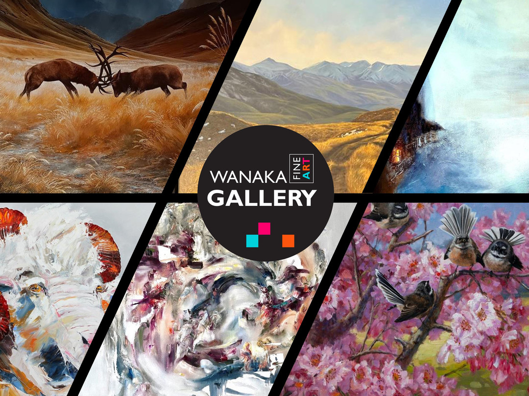 Wanaka Fine Art Gallery