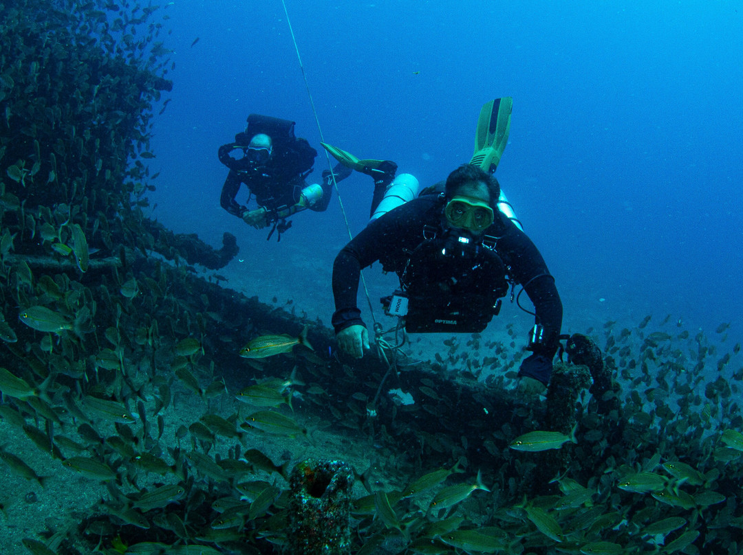 Aicádiving - Centro De Mergulho - Recife-累西腓必去景点