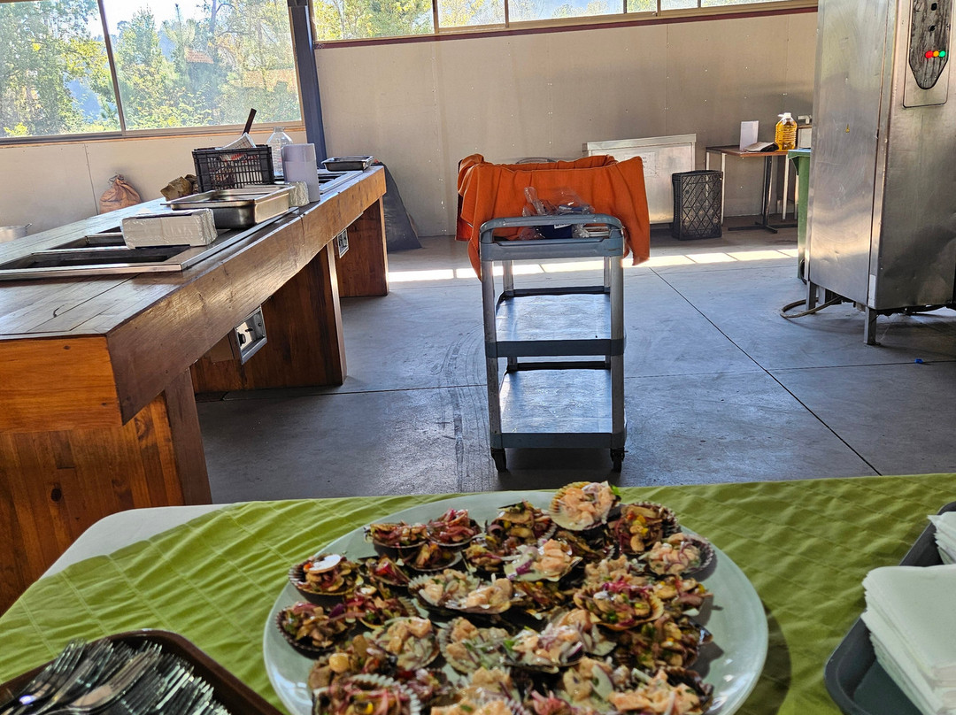 Termas de Quinamavida主图