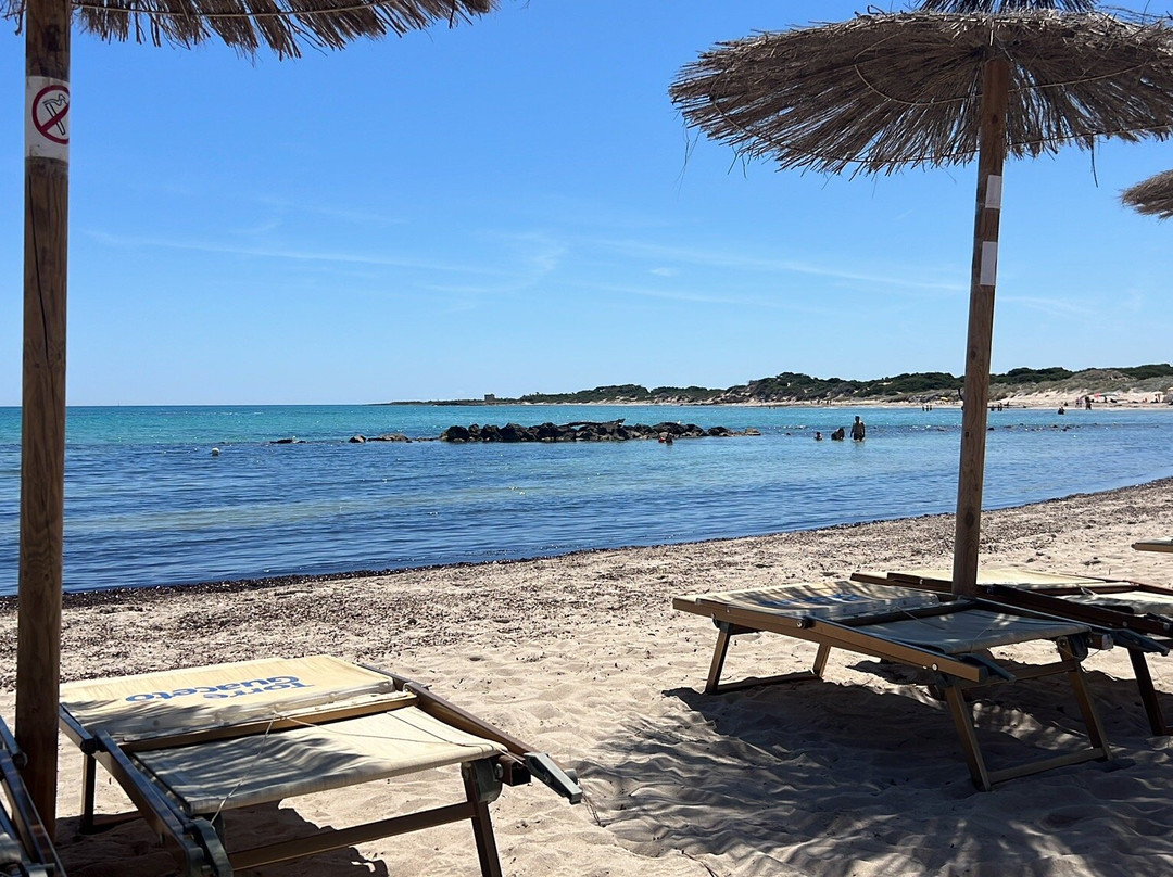 Spiaggia Torre Guaceto景点图片