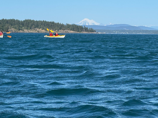 San Juan Kayak Expeditions-星期五港湾必去景点