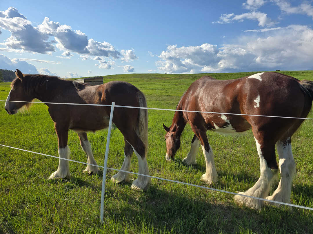 Clydesdale Outpost主图