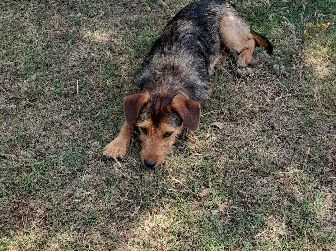 Centro Equestre La Prugnola-Arzachena必去景点