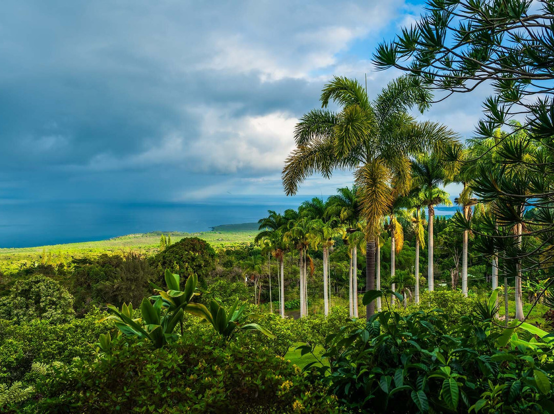 阿洛哈宾馆主图