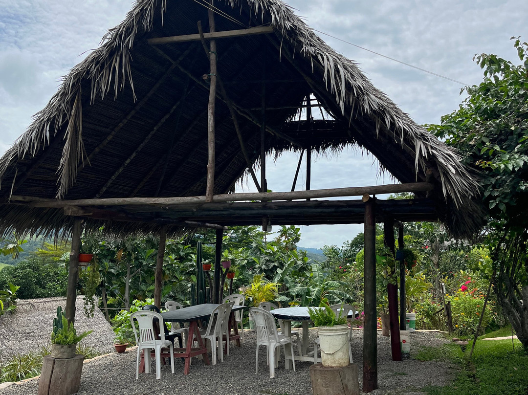 Finca Ecológica Alegria