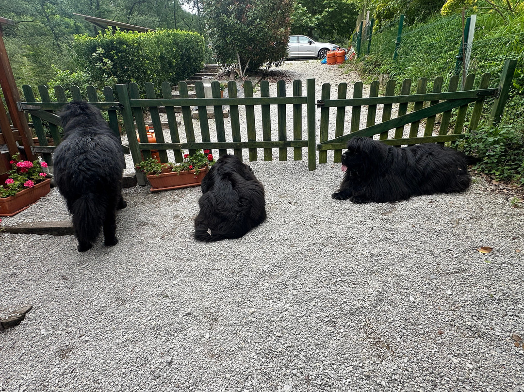Posada El Molino De Cantabria