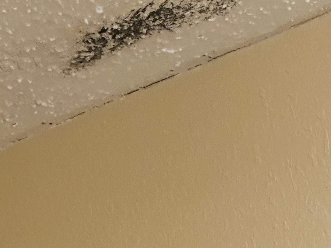 Super 8 by Wyndham O'Fallon主图