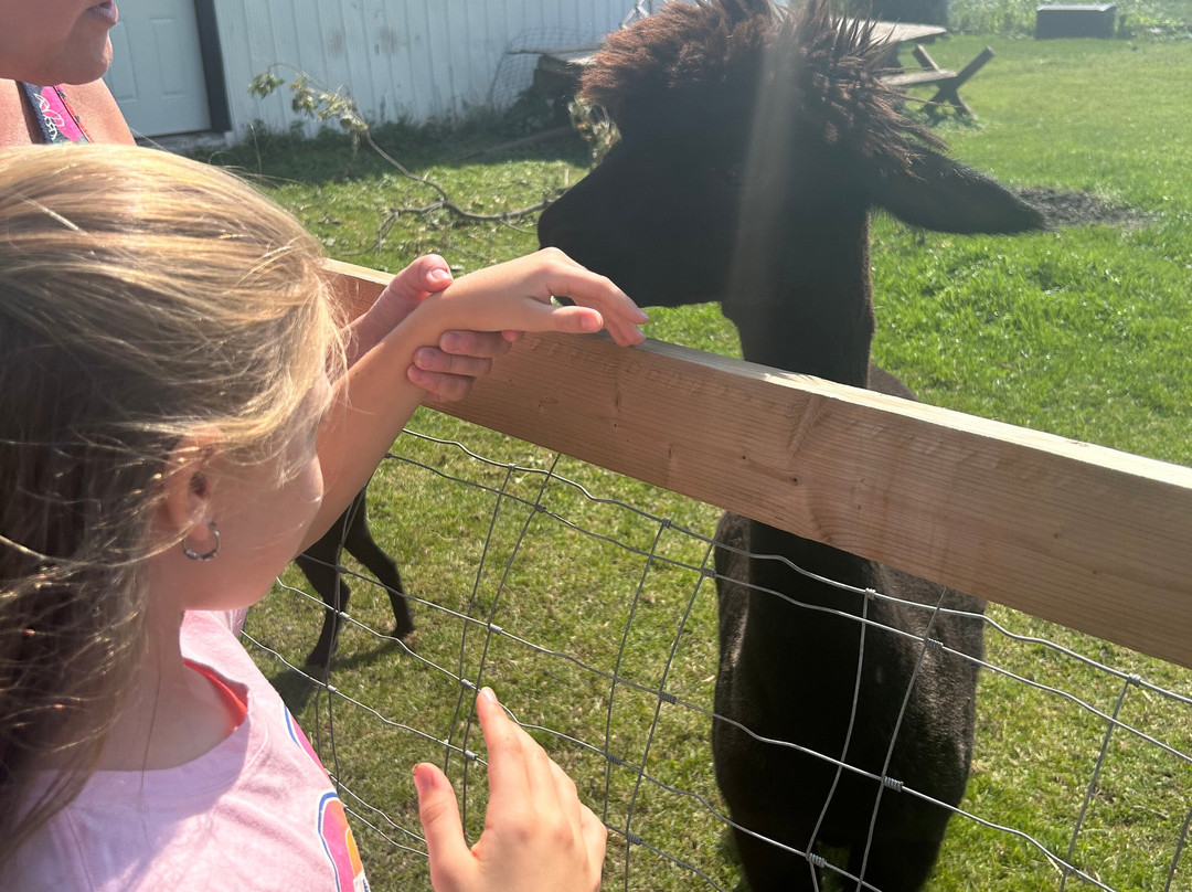 Cherry Lane Acres-圣玛丽必去景点