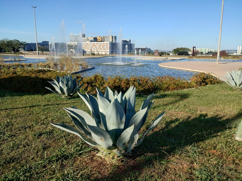 Jardim Burle Marx-巴西利亚必去景点
