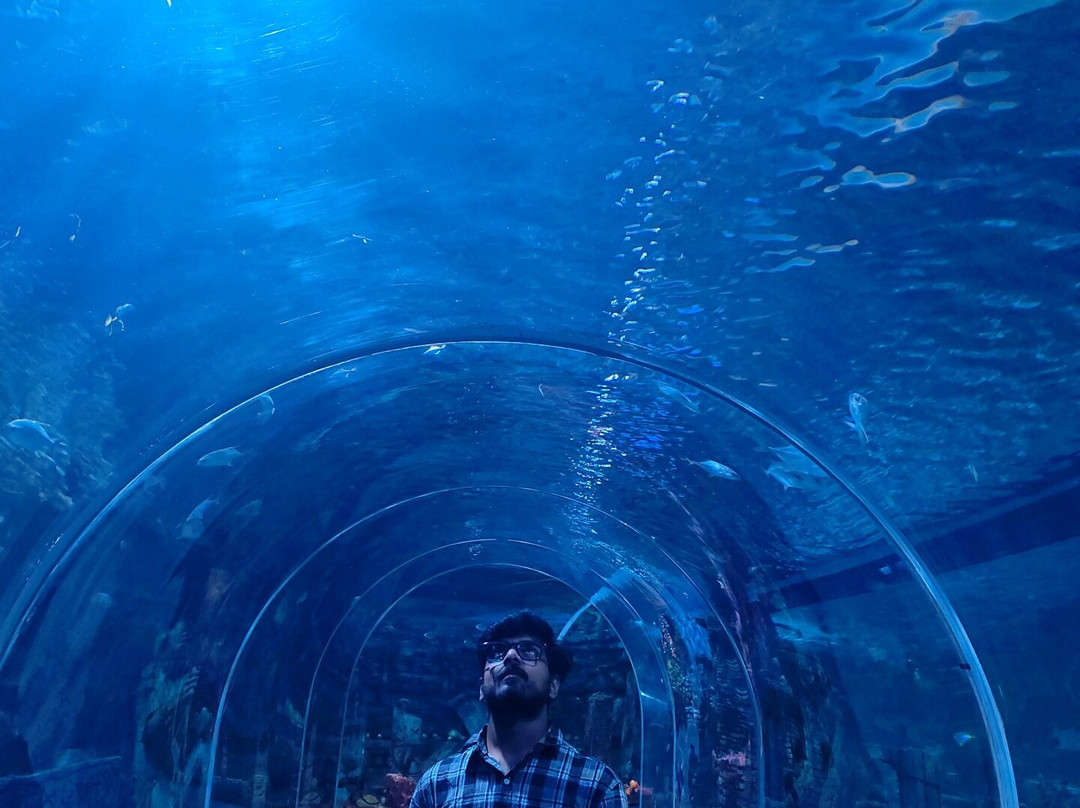Aquarium Paradise景点图片