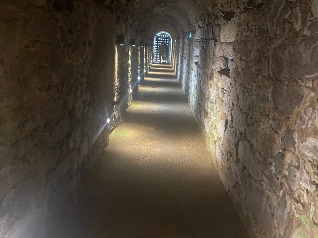 Château de Dinan景点图片