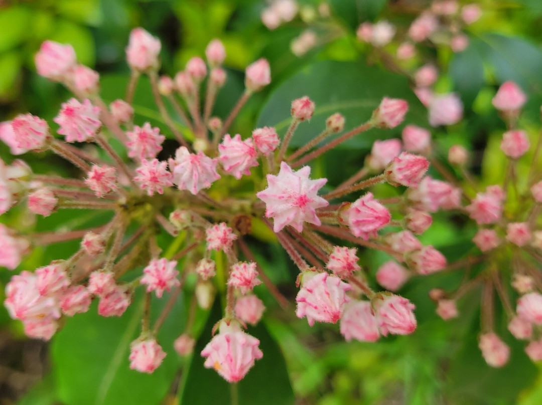 Kanawha State Forest-查尔斯顿必去景点