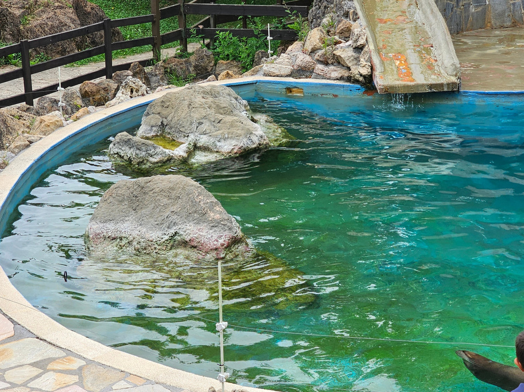 Parque de la Naturaleza de Cabarceno景点图片