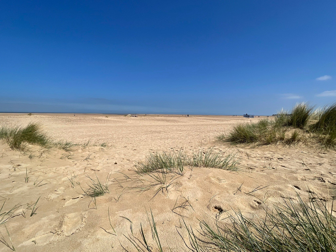 Holkham Bay-Wells-next-the-Sea必去景点