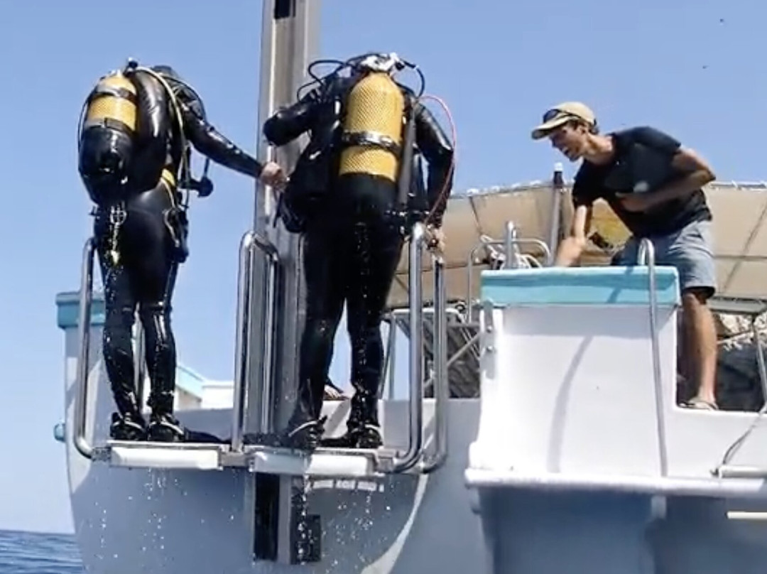 La Sirena Diving Center-L'Estartit必去景点