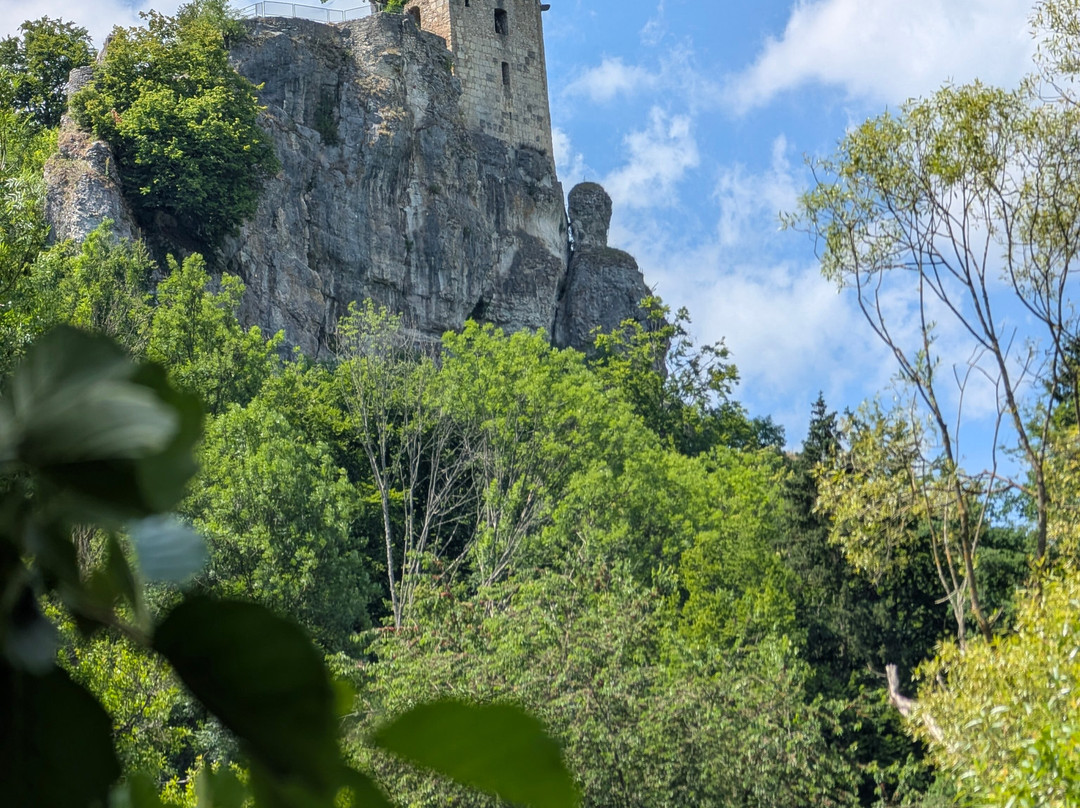 Leinen Los | Outdoorevents in Franken-Gossweinstein必去景点